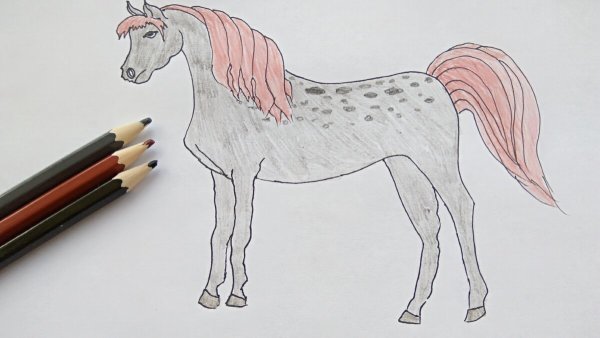 Нарисовать лошадь