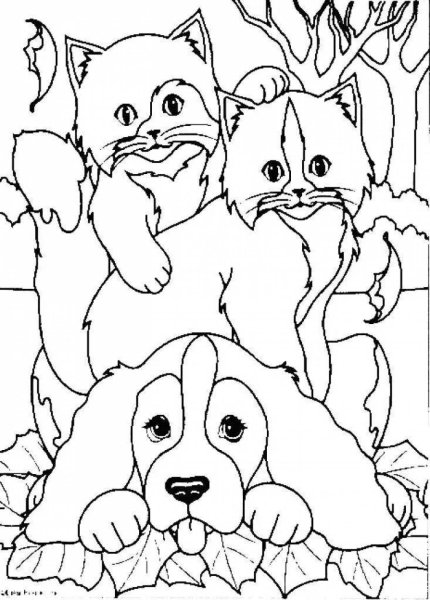 Кошки и собаки. Раскраска