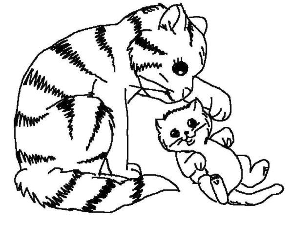 Котенок. Раскраска