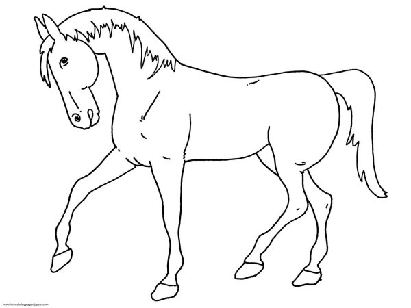 Раскраски фигурки лошадей (45 фото)