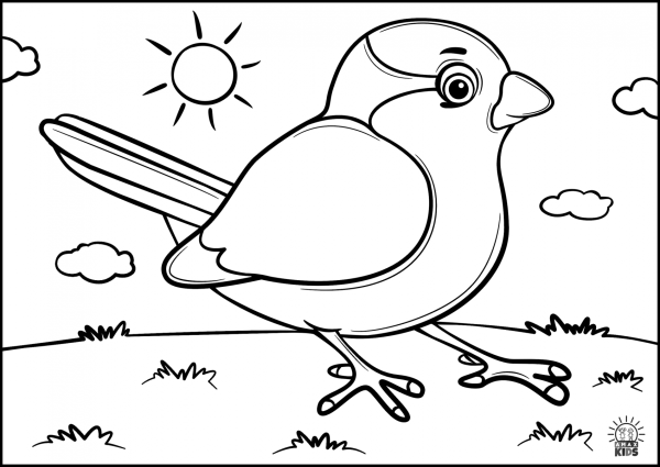 Bird for Kids раскраска