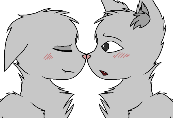 Котики манекены