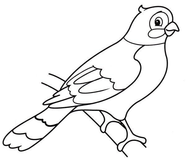 Птица раскраска для детей 2-3 лет