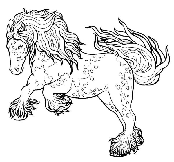 Раскраска Тинкер лошадь