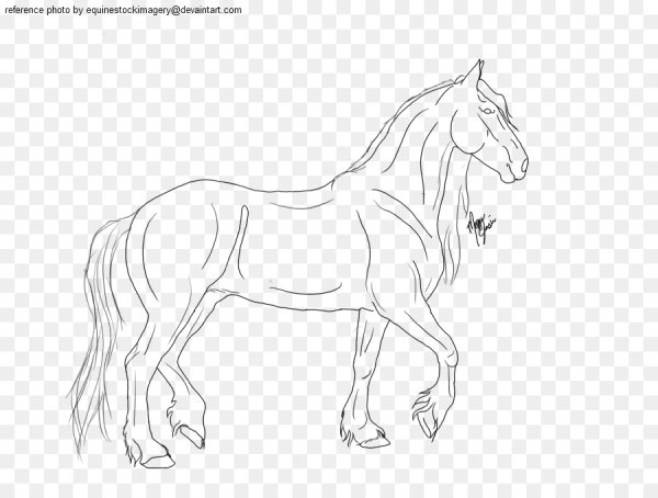 Раскраска лошади фризской породы