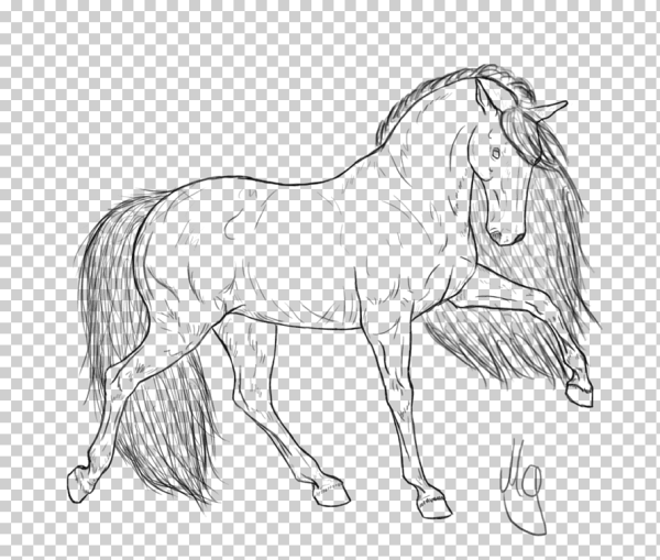 Лошадь с гривой раскраска