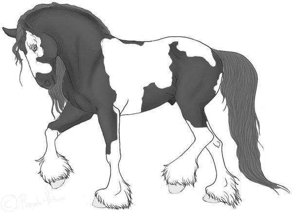 Раскраски фризская лошадь (47 фото)