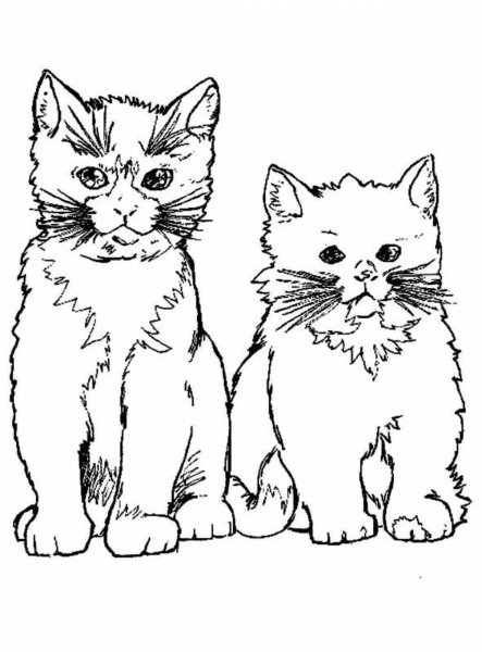 Раскраска кошка с котятами
