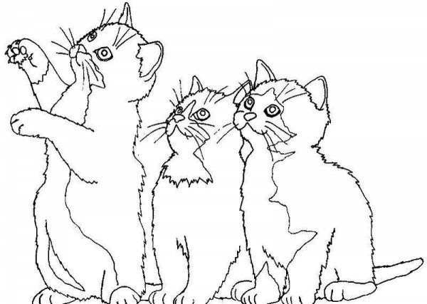 Раскраска кошка с котятами