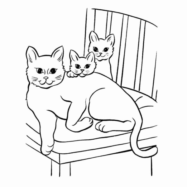 Котенок. Раскраска