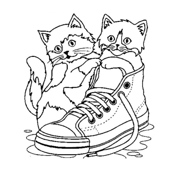 Раскраски коты