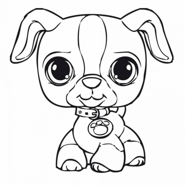 Раскраска Littlest Pet shop