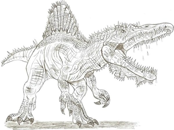 Раскраски хищные динозавры (48 фото)