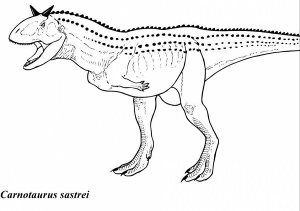 Раскраски динозавров коранатавр