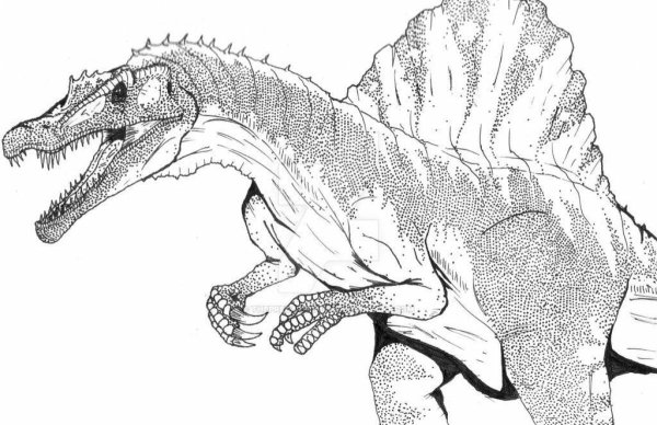 Раскраска про динозавров хищников Спинозавр