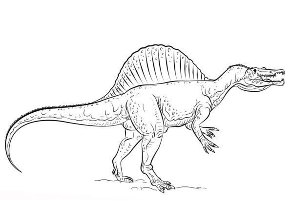 Раскраска динозавра Спинозавра