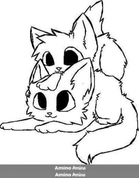 Коты Воители лайны