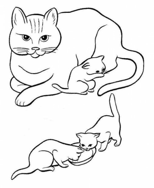 Раскраска кошка с котятами