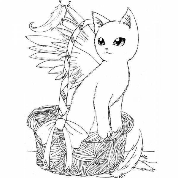 Раскраска кошечка Единорог