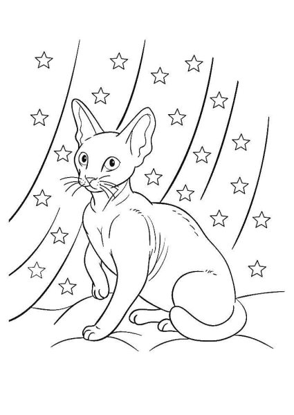 Раскраска сфинкс кошка