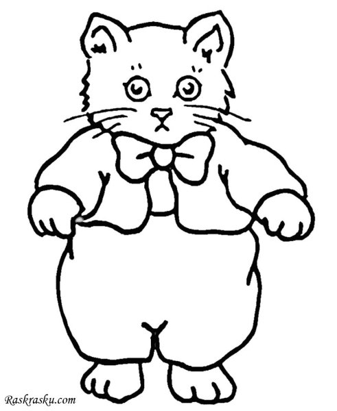 Раскраска кот