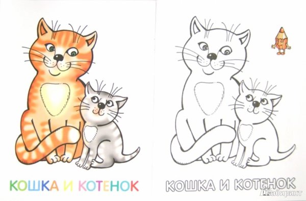 Кошка раскраска для детей