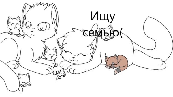 Лайн семья котов воителей