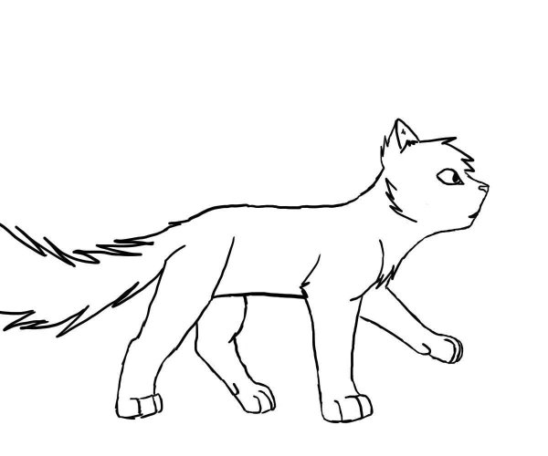 Коты Воители раскраска