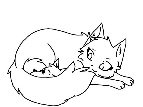 Коты Воители лайны семья