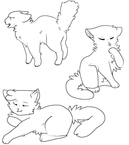 Коты Воители котёнок лаи́н