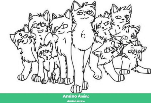 Коты Воители лайн семья