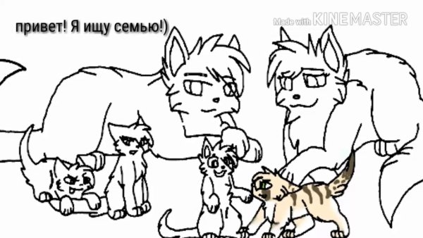Коты Воители лайны семья