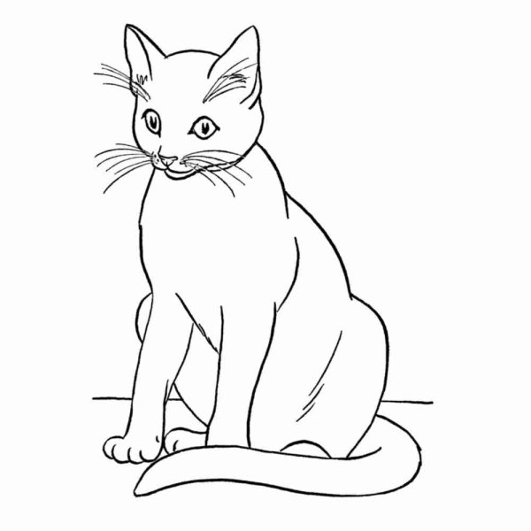 Раскраска много котят