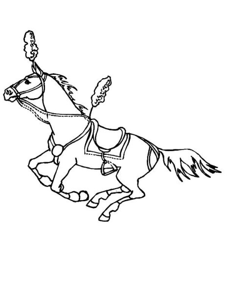 Цирковая лошадь раскраска