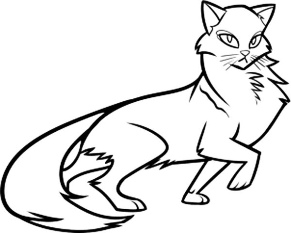 Коты Воители разукрашивать