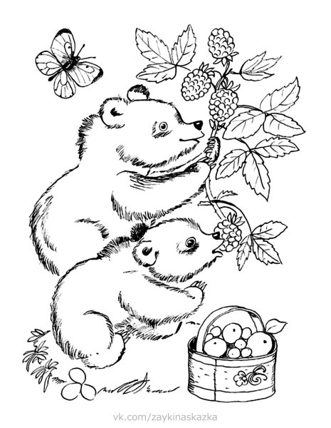 Раскраска медведь с ягодами