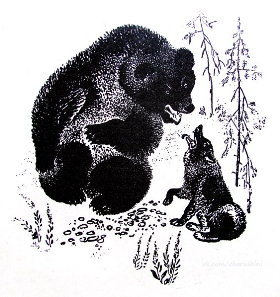 Евгений Чарушин белый медведь