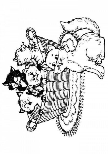 Раскраска кот в корзинке