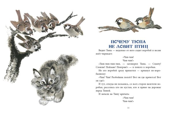 Иллюстрации к книге Чарушина про Тюпа, Томка и сорока