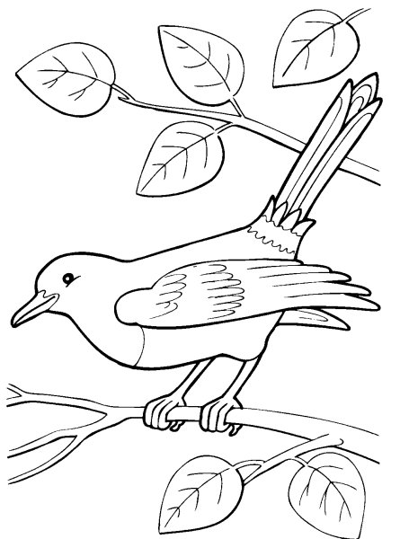 Раскраска "перелетные птицы"