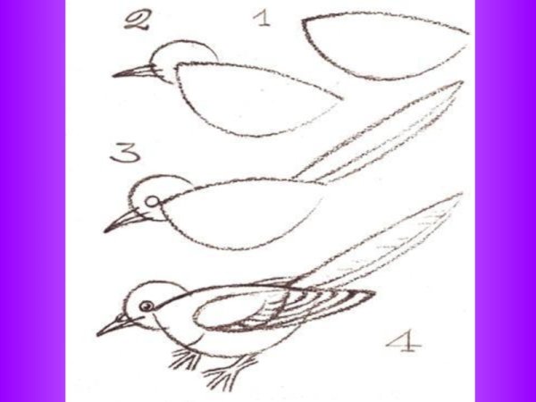 Рисование птиц 1 класс