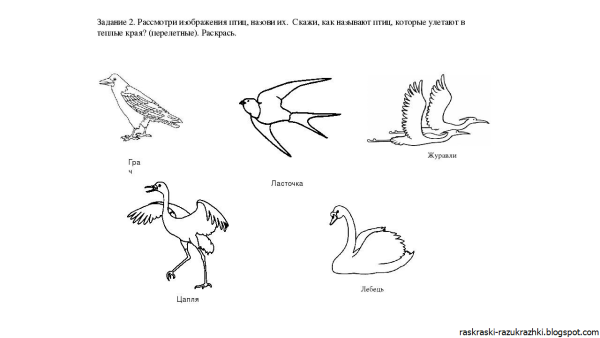 Перелетные птицы логопедические задания