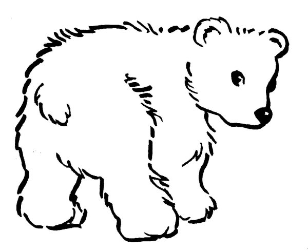 Медвежонок раскраска для детей
