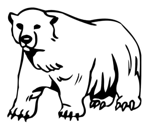Очковый медведь раскраска