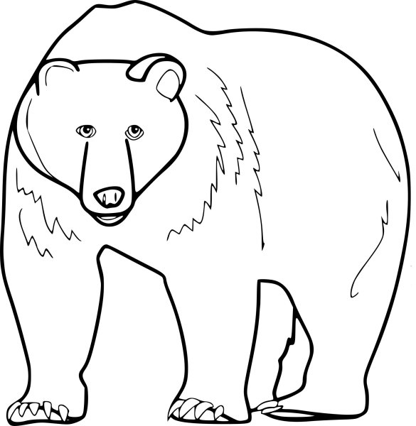 Бурый медведь для детей для раскрашивания