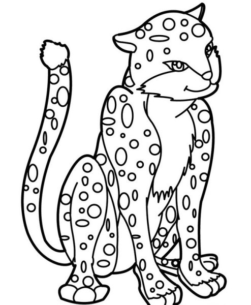 Раскраски котята леопарда (49 фото)