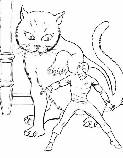 Модные котики раскраска