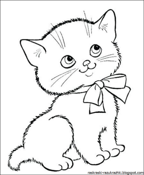 Раскраска. Котики