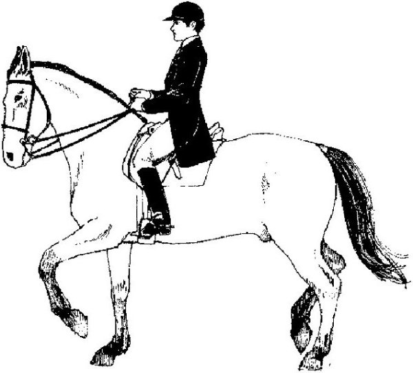 Нарисовать лошадь с всадником