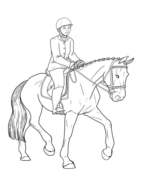 Всадник на лошади карандашом